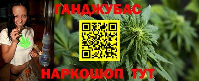 стаф Лесосибирск