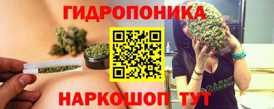 стаф Лесосибирск