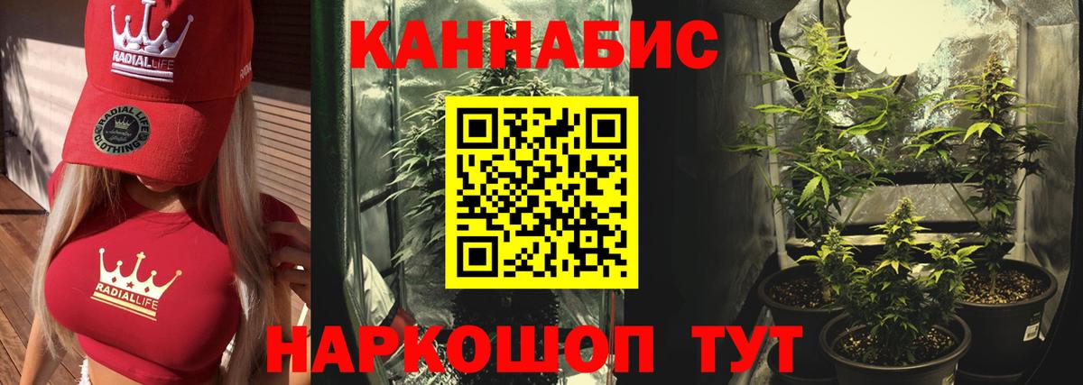 Каннабис план  Бошки Шишки SATIVA & INDICA  Вход с VPN  Каннабис Bruce Banner  Узловая 